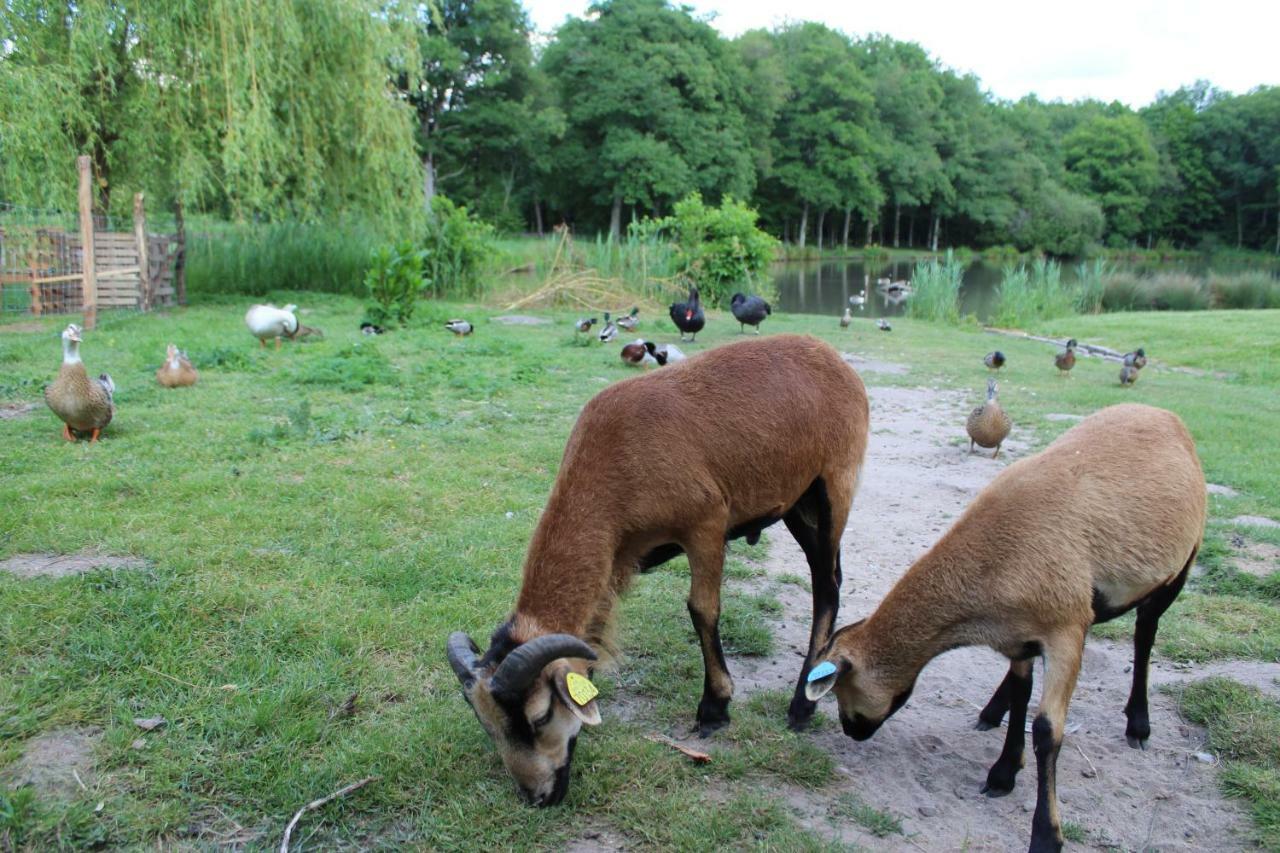 فيلا Ferme Des Poulardieres Crouy-sur-Cosson المظهر الخارجي الصورة